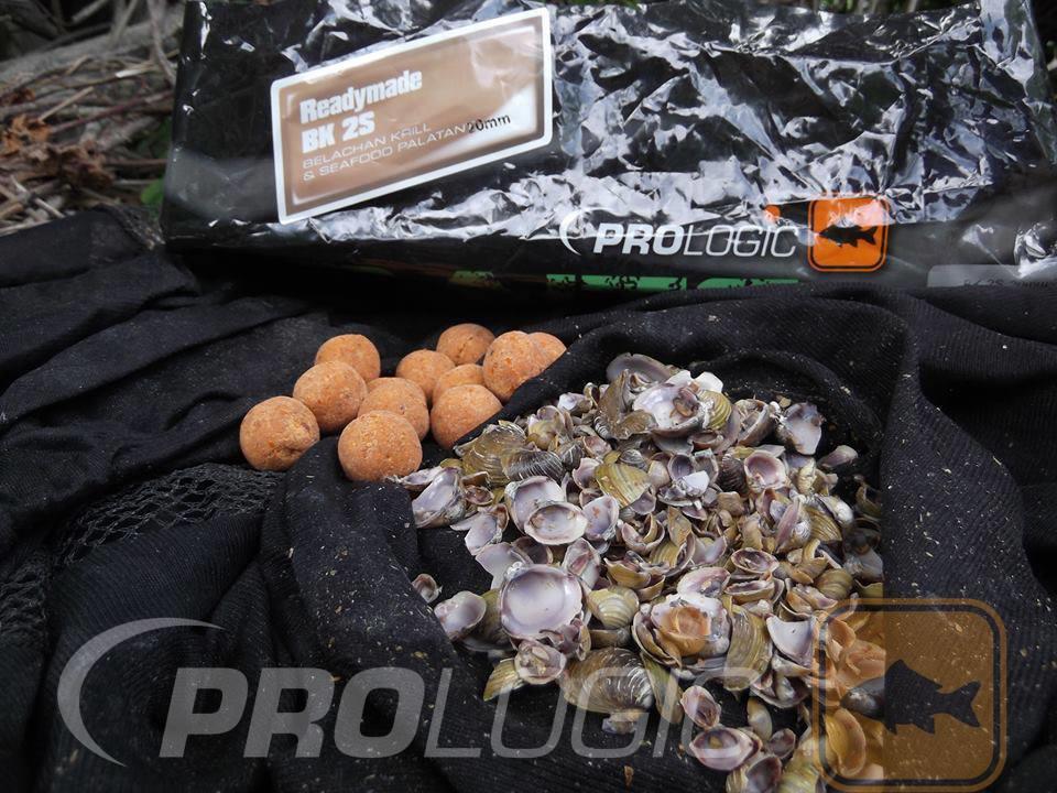 PROLOGIC - 10001945355525298376511729428790n.jpg